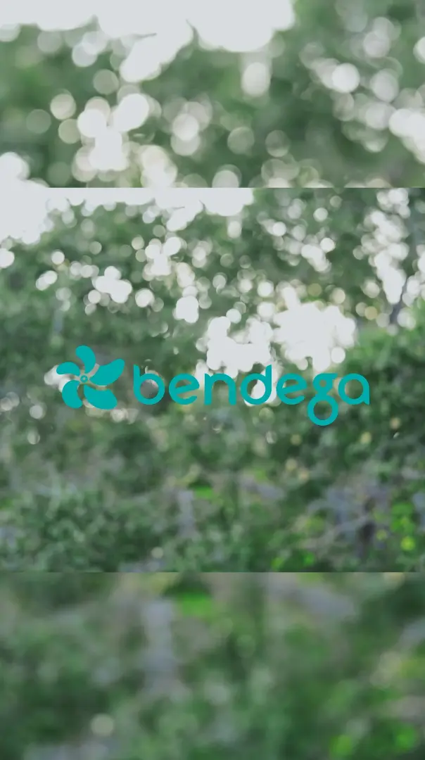 video-thumbnail