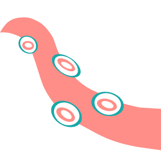 tentacle