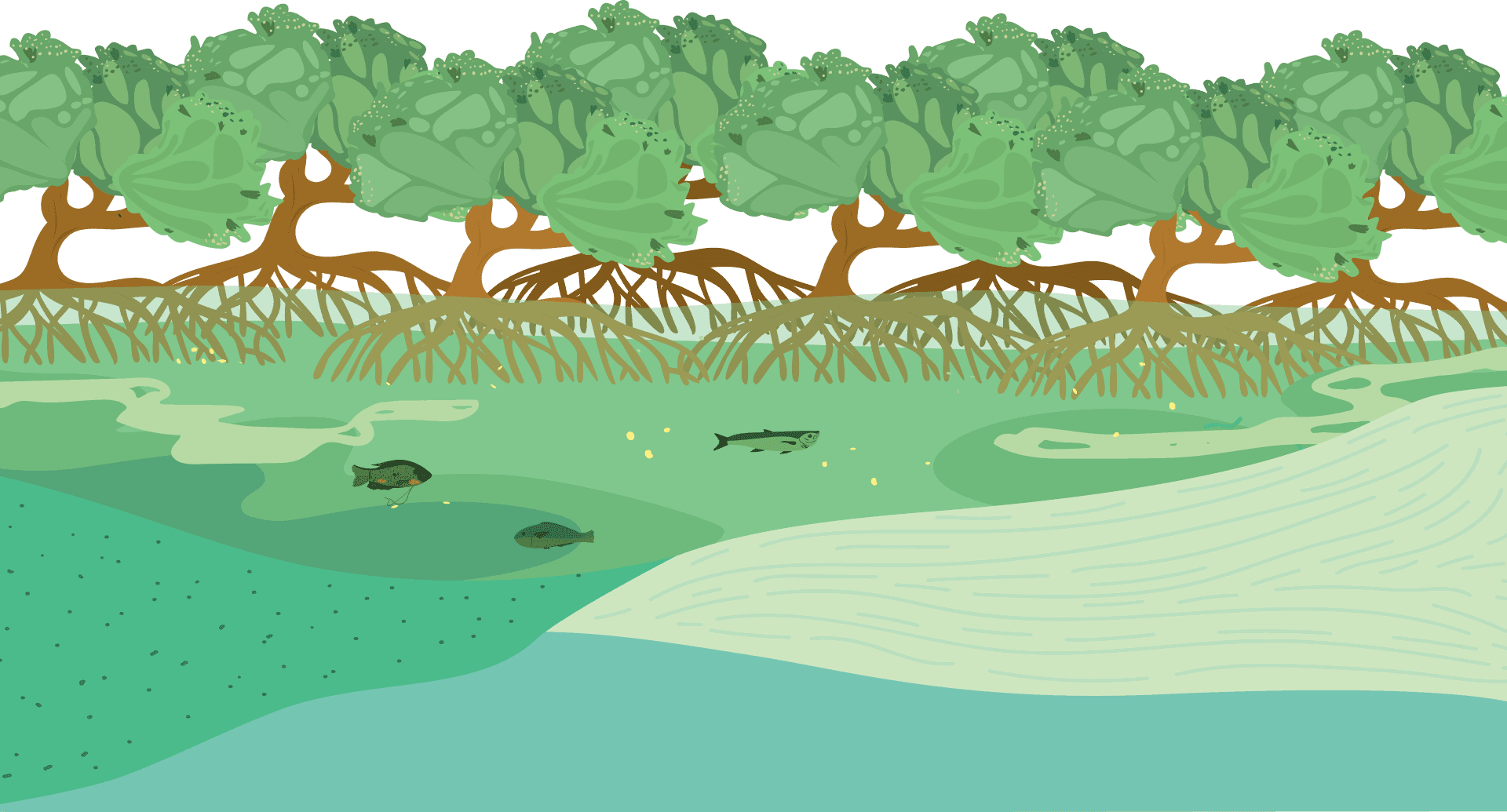 coast
